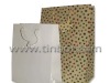 2012 New Design Promotional Paper Bag