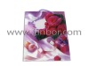 2012 New Design Valentine's Gift Bag