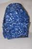 2012 New Style backpack