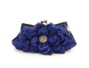 2012 New clutch evening bag