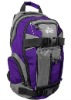 2012 New fashion design purple backpack