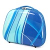 2012 New pp luggage