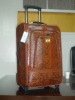 2012 New stylish Luggage trolley bag