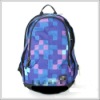 2012 Newest style canvas backpack for student