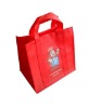 2012 Non-woven Shopping Bag