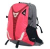 2012 Nylon Leisure Backpack