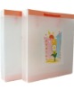 2012 PP plastic handle colourful gift bag