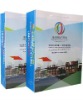 2012 PP plastic handle colourful gift bag