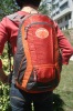 2012 Popular picnic backpack