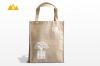 2012 Promotional PP non woven shopping bag
