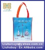 2012 RPET shopping non woven bag