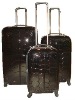 2012 Ski luggage & Newest style travel luggage