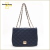 2012 Spring/Summer Delicate Ladies fashion shoulder bag