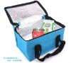 2012 Summer Cooler Bag For Food