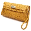 2012 Winter and Apring young fashion lady handbag