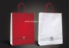 2012 beautiful shopping bag