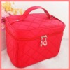 2012 cosmetic bag HB0154