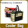 2012 cute promotional cooler bag