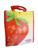 2012 eco-friendly pp non-woven gift bag
