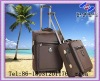 2012 eminent travel trolley luggage suitcases