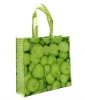 2012 european shopping bags