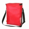 2012 fashion cooler bag for food and picnic