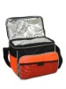 2012 fashion cooler bag for food and picnic