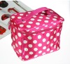 2012 fashion cosmetic bag