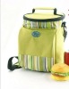 2012 fashion leisure cooler bag