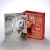 2012 fashion paper bag for clothes
