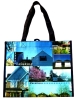 2012 green non woven shopping bag