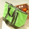 2012 healthful shopping bag