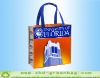 2012 laminated woven bag