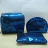 2012 latest hot sale high designer two compartment cosmetic bag