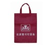 2012 latest style handle cooler shopping bag for portable