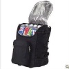 2012 most fashionable outdoor picnic insulation ice bag