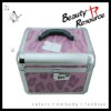 2012 new aluminum cosmetic case