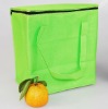 2012 new arrival 600D cooler bag for frozen food