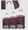 2012 new design beautity luggage set