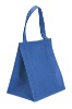 2012 new design non-woven bag