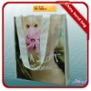 2012 new eco-friendly non woven bag