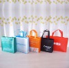 2012 new fabric handbags(nw-379)