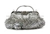 2012 new fashion ctitch bag, new design evening bag 042