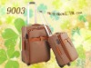 2012 new fashion travel luggage set