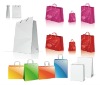 2012 new paper bag for shopping