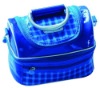2012 new promotion pvc cooler bag