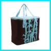 2012 newest EPE foam aluminium foil picnic cooler bag (DYJWCLB-016)