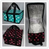 2012 newest cooler bag