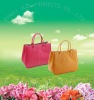 2012 newest design lady's handbag