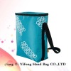 2012 newest design picnic bag